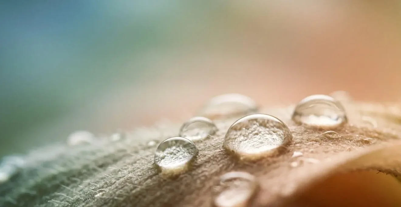 Gocce d'acqua su superficie naturale che evocano l'idratazione cutanea profonda