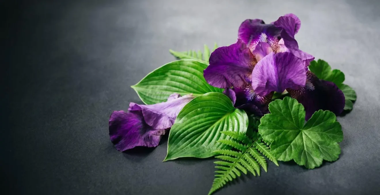Composizione artistica che illustra la teoria del colore complementare tra viola e verde con elementi naturali